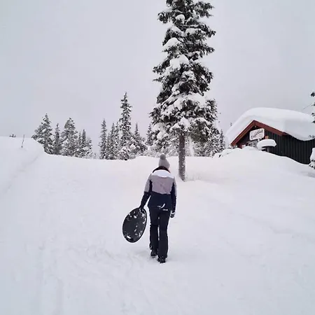 Panorama 4 C And Out With Views Of Slettefjell Beitostolen