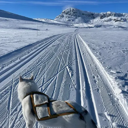 Panorama 4 C And Out With Views Of Slettefjell
