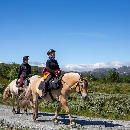 Panorama 4 C And Out With Views Of Slettefjell * Beitostolen